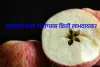 Advantages and Disadvantages of Apples : काय सांगता, सफरचंद खाल्ल्याने होऊ शकतो मृत्यू? 